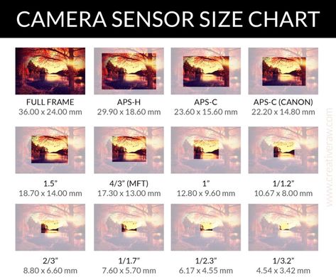 Camera Sensor Size Explained + Sensor Chart (2021) Camera Sensor Size, Camera Sensor, Photography Cheat Sheets, Latest Iphone, Cheat Sheets, Picture Sizes, Iphone, Photography