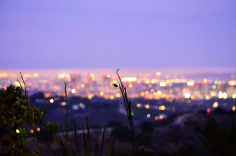 City Lights Landscape, City Lights Aesthetic, Ben Gibbard, Hiring Poster, Recruitment Process, Photo Arts, Surfing Pictures, Laptop Backgrounds, Los Angeles City