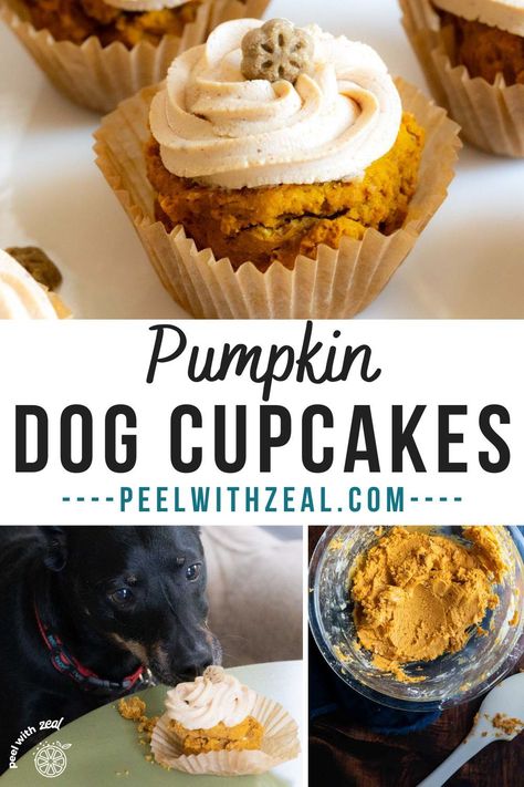 Carrot Dog Cake, Pupcakes Dog, Cupcakes For Dogs Recipe, Pupcake Recipe, Dog Cake Recipes, Carrot Dogs, Pet Treats Recipes, Easy Dog Treat Recipes, Dog Cupcakes