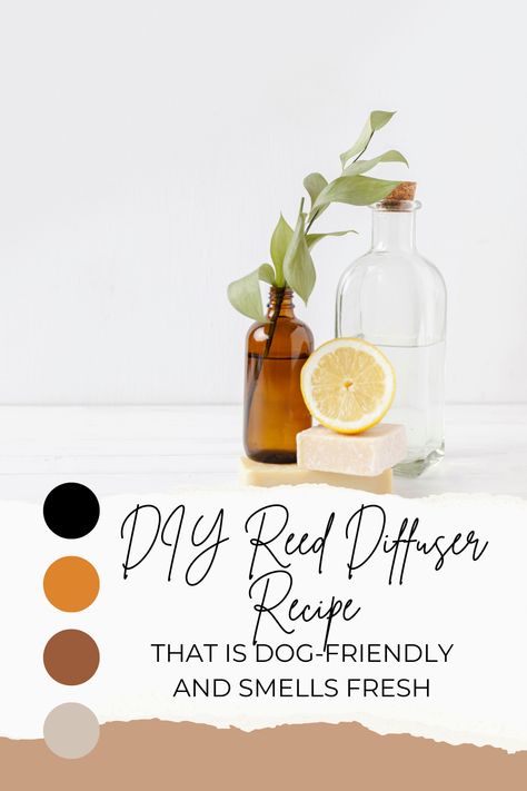 DIY Reed Diffuser Recipe: 3 Safe & Fresh Dog-Friendly Scents Natural Reed Diffuser, Non Toxic Reed Diffuser, Diy Scent Diffuser, Diy Home Spray Air Freshener, Homemade Reed Diffuser Oil Recipes, Homemade Scents For The Home, How To Make Reed Diffuser Oil Diy, Dog Friendly Essential Oils, Diy Reed Diffuser Oil Recipe