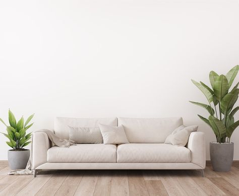 Minimal bright living room design with w... | Premium Photo #Freepik #photo #house #space #wall #furniture White Wall Furniture Living Rooms, White Background Living Room, Living Room Wall Background, Minimal Sofa Design Living Rooms, Simple Living Room Ideas Minimalism, Minimal Sofa Design, Furniture Background, Plants Minimalist, Sofa Design Living Rooms