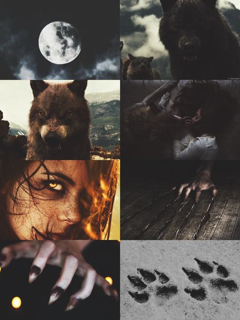 Werewolf Romantic Aesthetic, She Wolf Aesthetic, Aesthetic Light Brown, Wolf Witch, Werewolf Vs Vampire, Werewolf Girl, Werewolf Stories, Werewolf Aesthetic, Wolf Spirit Animal