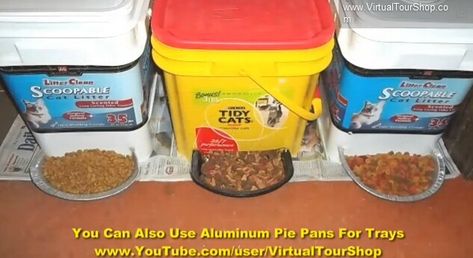 Make a diy gravity feeder for per food Diy Dog Feeder, Dog Feeder Automatic, Diy Cat Food, Pet Food Dispenser, Chat Diy, Diy Dog Food, Tidy Cats, Dog Food Container, Automatic Cat Feeder