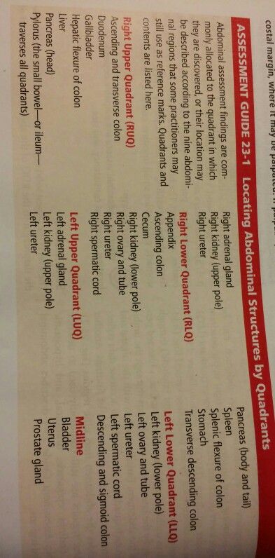 Assessing the abdomen Abdomen Assessment Nursing, Medical School Life, Nurse Stuff, Student Nurse, Nursing Student, School Life, Medical School, Nursing Students, Assessment