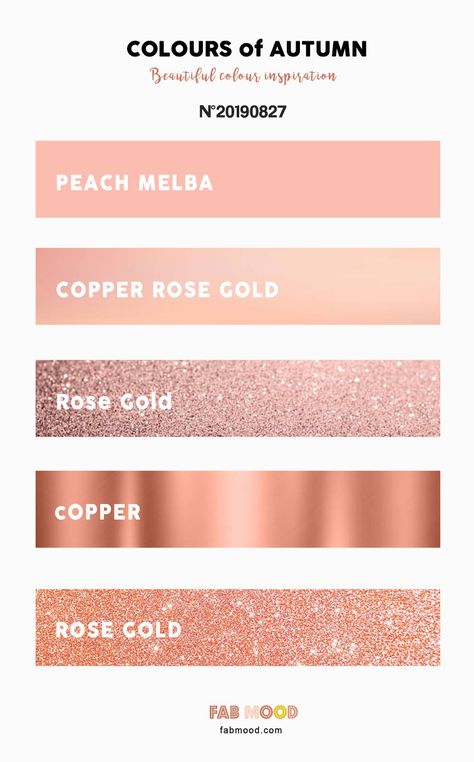 Autumn Color 2019 - Metallic Color Palettte { Rose Gold Copper Peach Melba } #color #metallic #fallwedding Rose Gold Color Palette, Wedding Rose Gold Theme, Rose Gold Aesthetic, Rose Gold Theme, Peach Melba, Gold Wedding Colors, Wedding Color Combos, Gold Color Palettes, Gold Wedding Theme