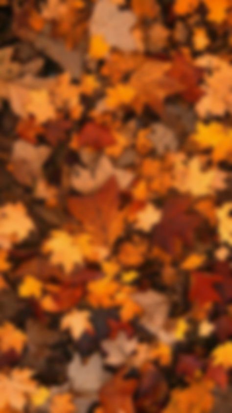 Fall 2024 Wallpaper, Fall Time Wallpaper Iphone, Early Fall Background Wallpaper, Fall Phone Theme Wallpaper, Fall Themed Backgrounds Iphone, Autum Wallpers Aesthetic Ipad, Fall Phone Screen Aesthetic, Fall Wallpaper Iphone Aesthetic Widgets, Fall Apple Watch Wallpaper Aesthetic