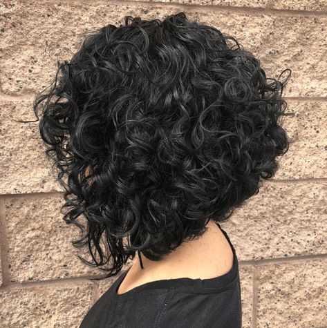 Inverted Black Bob for Curly Hair #curlyhairwithbangs Inverted Bob, Curly Hair, Bangs, Hairstyles, Hair, Wall, Black