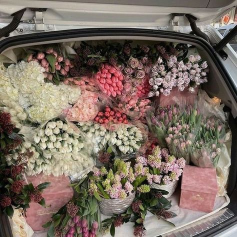 Charlotte York Aesthetic, Charlotte York, Aesthetic 2024, Surreal Photos, Can You Feel It, Boquette Flowers, Nothing But Flowers, Flower Therapy, Aesthetic Inspiration