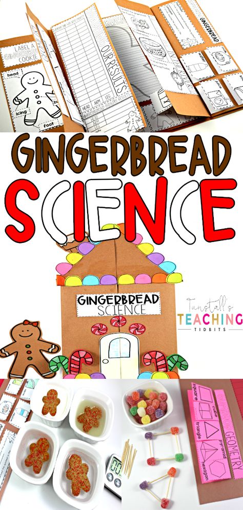 Science Christmas Activities, Gingerbread Library, Gingerbread Science, Gingerbread Activities Preschool, Santa Science, Gingerbread Man Unit, Gingerbread Unit, Gingerbread Man Activities, Gingerbread Activities