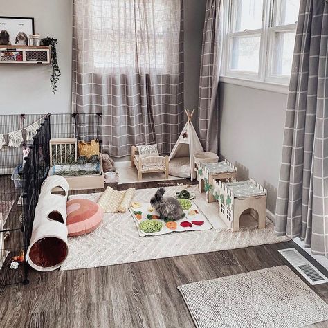 Boho Bunny Cage, Bunny Room Ideas Rabbit, Freeroam Bunny Setup, Rabbit Set Up Indoor Aesthetic, Bunny Area Ideas, Freeroam Bunny, Bunny Room Indoor Rabbit Play Areas, Playpen Set Up, Bunny Room Set Up