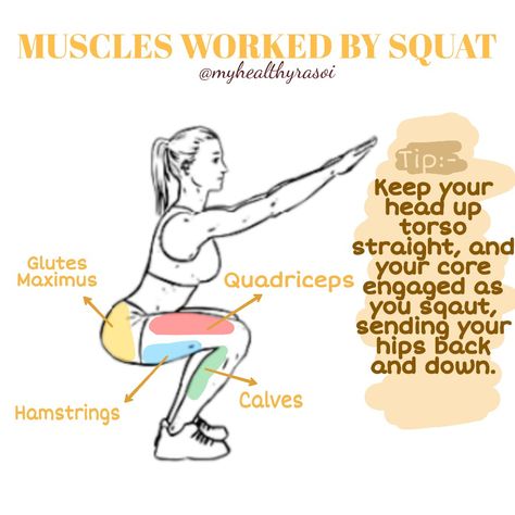 Squat Muscles Used, Muscle Definition, Muscle Anatomy, Muscles, Anatomy, Running, Health