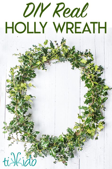 Make a Holly Christmas Wreath using real, fresh holly branches.  It's a classic Christmas decoration you can make for your front door. Fresh Holly Wreath, Christmas Holly Wreaths Diy, Real Holly Christmas Decorations, Holly Wreath Diy, Holly Wreaths, Fresh Wreaths, Fresh Christmas Wreath, Wreath For Christmas, Holly Decorations