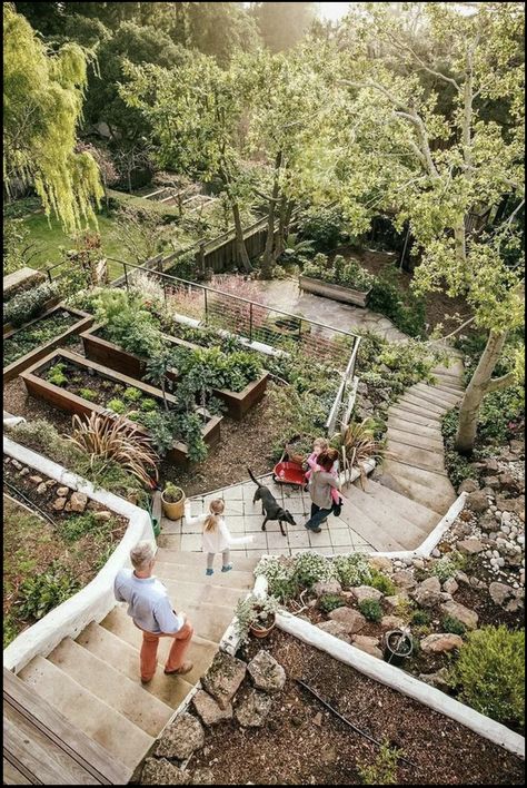 Steep Gardens, Amazing Landscaping Ideas, Sloped Backyard Landscaping, Landscaping A Slope, Landscaping On A Hill, Sloped Yard, Hillside Garden, Sloped Backyard, Landscaping Inspiration