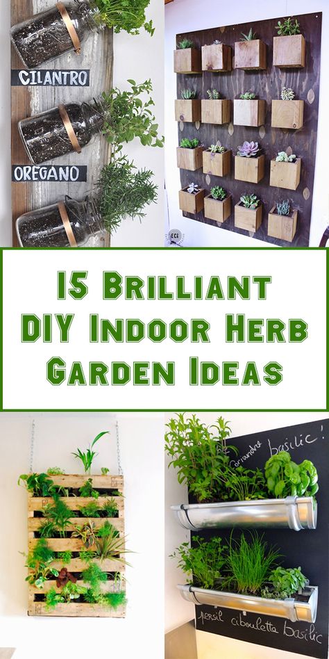 15 Brilliant DIY Indoor Herb Garden Ideas Indoor Herb Garden Ideas, Vertical Herb Gardens, Herb Garden Ideas, Garden Planters Diy, Indoor Vegetables, Herb Wall, Herb Garden In Kitchen, Diy Herb Garden, Indoor Herb