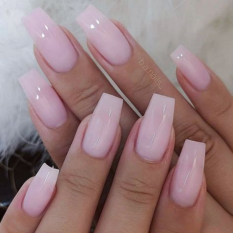 Milk Pink Nails, Mexico Trip, Milky Nails, Soft Nails, Acrylic Nails Coffin Short, Flower Background, Pink Acrylic Nails, Neutral Nails, Dream Nails