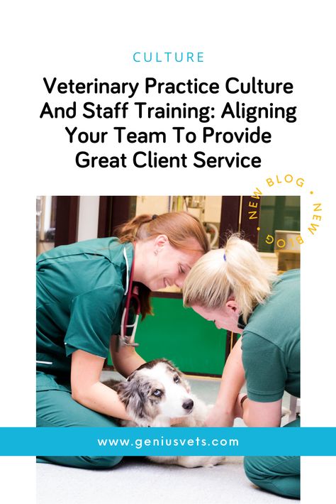 Vet Tech Tips, Veterinary Practice Management, Veterinary Leadership, Vet Medicine, Tech Ideas, Vet Clinic, Veterinary Services, Client Service, Staff Meetings