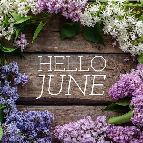 Happy New Month Quotes, Best Encouraging Quotes, New Month Wishes, June Quotes, Welcome June, New Month Quotes, Hello June, Calendar Time, Days And Months