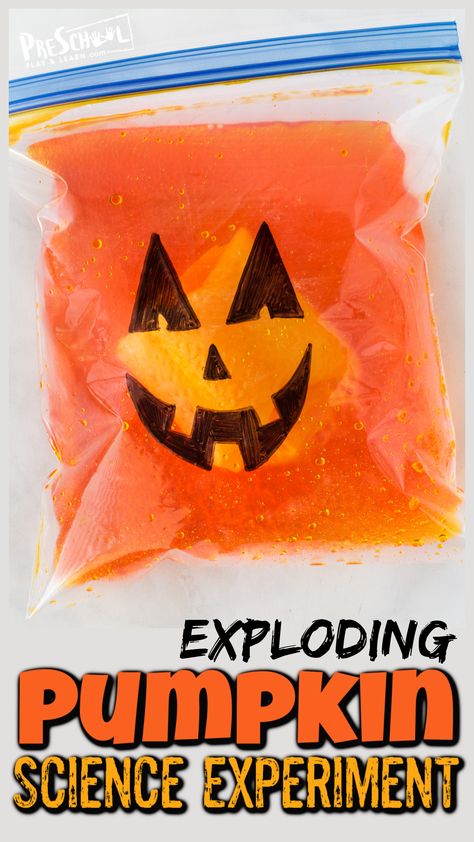 This outrageously FUN Exploding Pumpkin is a fun halloween science experiment for kids of all ages from toddler, preschool, pre-k, kindergarten, first grade, and 2nd grade students. This pumpkin activity is super simple to try using common materials you already have in your kitchen! Use this halloween activities to teach kids a little chemistry with this baking soda and vinegar experiment as part of your pumpkin theme or halloween theme in October. Pumpkin Science Experiment, Halloween Experiments, Pumpkin Math Activities, Candy Science Experiments, Halloween Science Activities, Pumpkin Activity, Pumpkin Science, Pumpkin Math, Fall Science