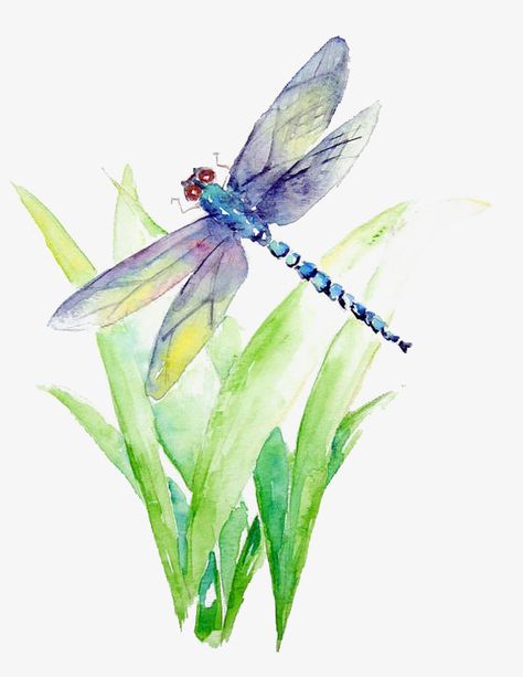 Dragonfly Painting, Watercolor Dragonfly, Blue Dragonfly, Dragonfly Art, Resin Projects, 수채화 그림, Watercolor Paintings Tutorials, Watercolor Inspiration, Watercolor Bird