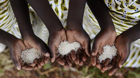 Access to food and nutrition more limited in sub-Saharan Africa than previously estimated Food Scarcity, Sustainable Food Systems, Food Insecurity, African Girl, The Crow, Sustainable Food, African Food, African Culture, Nutrition Recipes