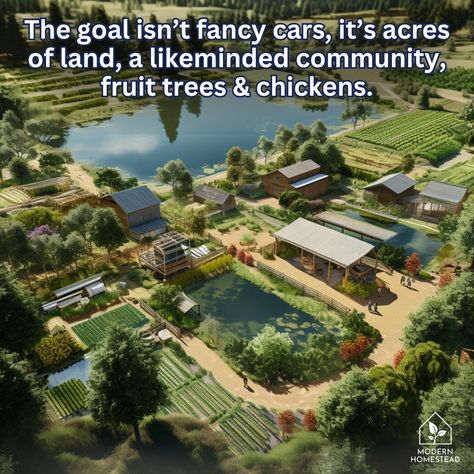 Community, fruit trees & chickens... Is that too much to ask? #modernhomestead #homestead #offgrid #offgridliving Multifamily Homestead, Family Compound Homestead, Communal Living Homesteads, Commune Living Homesteads, Homestead Community Layout, Homestead Vision Board, How To Build Community, Wooded Homestead, Modern Homestead Aesthetic