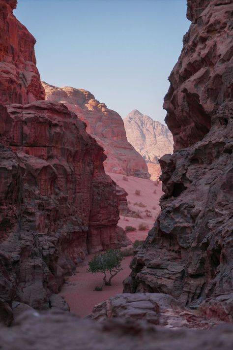 wadi rum village jordanië Wadi Rum known also as the Valley of the Moon is a valley cut into the sandstone and granite rock in southern Jordan, near the border to Saudi Arabia Pink Wallpaper Nature, Hd Pink Wallpapers, Wadi Rum Jordan, Granite Rock, Valley Of The Moon, Mountain Images, Nature Hd, Mountain Valley, Wadi Rum