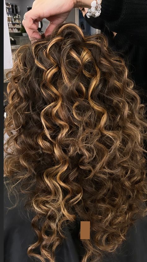 Natural texture curly hair with caramel highlights. IG: DIAStudioNJ Blonde Highlights Curly Hair, Curly Highlights, Dark Curly Hair, Dyed Curly Hair, Natural Curly Hair Cuts, Highlights Curly Hair, Brown Curly Hair, Brunette Hair With Highlights, Curly Hair Photos