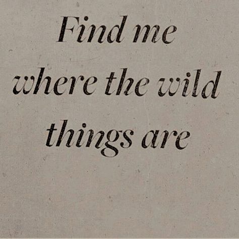 find me where the wild things are, grey Wild Things, Quote Aesthetic, Pretty Words, Pretty Quotes, Thoughts Quotes, The Words, Meaningful Quotes, Beautiful Words, The Wild