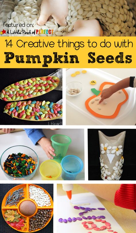 Pumpkin Seed Activities for Kids: Creative ways to craft, play, and learn with pumpkin seeds (Fall. Halloween) Pumpkin Seed Activities, Seed Activities For Kids, Seed Crafts For Kids, Seed Activities, Pumpkin Seed Crafts, Seed Craft, Pumpkin Seed Recipes, Leftover Pumpkin, Pumpkin Activities