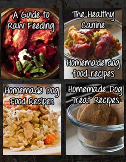 Feeding your pooch Crockpot Fish, Dog Food Recipes Vet Approved, Homemade Dog Food Recipes Vet Approved, Homemade Dog Food Crockpot, Homemade Dog Food Vet Approved, Dog Food Recipes Crockpot, Homemade Dog Cookies, Doggy Treats, Chicken Dog