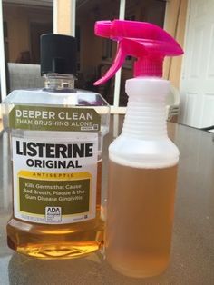 Fly Repellant Diy, Homemade Mosquito Spray, Mosquito Yard Spray, Repellent Diy, Diy Bug Repellent, Mosquito Repellent Homemade, Diy Mosquito Repellent, Homemade Bug Spray, Diy Bug Spray