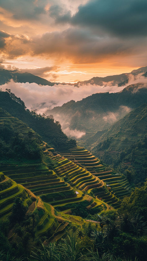 A beautiful terraced landscape in the Philippines at sunset, showcasing the stunning Banaue Rice Terraces with lush greenery and mist-covered mountains in the background. Philippine Beautiful Places, Beautiful Philippines, Places In Philippines, Philippines Places, Majestic Mountains, Philippines Landscape, The Philippines Aesthetic, Philippines Beach, Philippines Photography