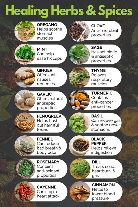 Herbs and spices have been used for centuries to treat a wide variety of ailments. In recent years, there has been a renewed interest in these powerful plants and their potential health benefits.  Check out the link for a comprehensive list of articles that provide an overview of the most popular herbs and spices, their uses, and the science behind their efficacy. Herbal Remedies Recipes, Medical Herbs, Food Health Benefits, Natural Healing Remedies, Herbal Healing, Home Health Remedies, Herbs For Health, Healing Food, Herbs And Spices