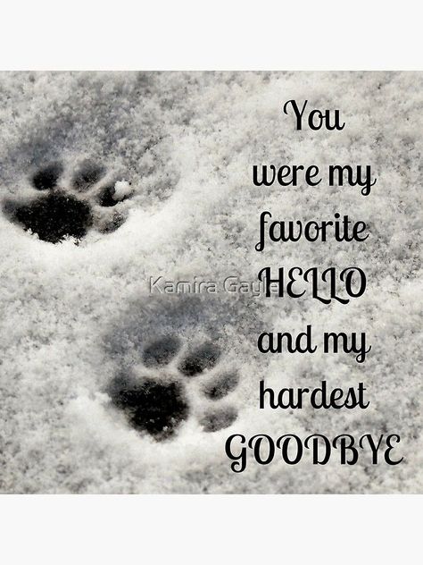 "You were my favorite hello and my hardest goodbye" Poster by Impurrfectlife | Redbubble Quotes Heaven, Pet Quotes Dog, Dog Heaven Quotes, Dogs Quotes, Hardest Goodbye, Miss My Dog, Dog Poems, Dog Quotes Love, Heaven Quotes