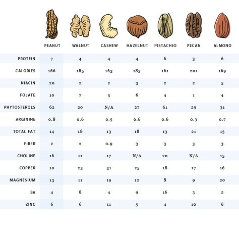 Nutrition Infographic, Protein Balls Recipes, Nutrition Logo, Gym Nutrition, Gluten Free Protein, Nutrition Activities, Nutrition Chart, Nutrition Quotes, Nutrition Month