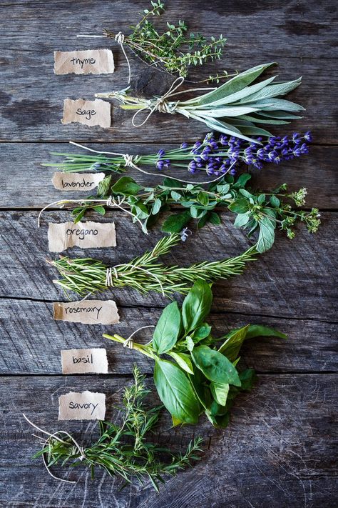 Herbs de Provence is a savory aromatic blend of herbs.  Versatile and adaptable, this mix will enhance grilled and roasted vegetables and meats, soft cheeses, egg and potato dishes! Herb Garden Photography, Dried Herbs Packaging, Bouquet Of Herbs, Fresh Herbs Aesthetic, Herb Bundles For Cooking, Aromatic Herbs Garden, Dried Herbs Aesthetic, Herbs Provence, Herb Garden Aesthetic