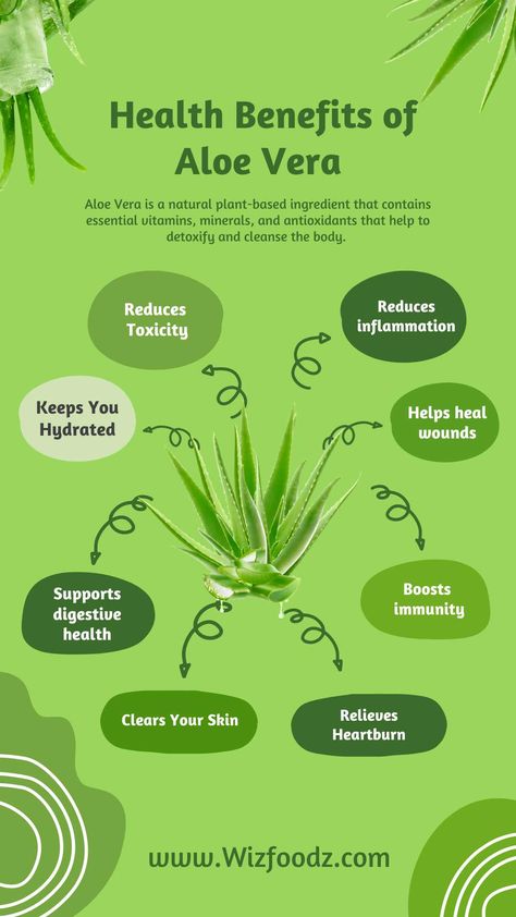 Health benefits of Aloe Vera - skin cleansing, Digestive support, reducing inflammation etc. Drinking Aloe Vera Juice, Drinking Aloe Vera, Aloe Vera Juice Benefits, Properties Of Herbs, Aloe Drink, Aloe Vera Gel Drink, Benefits Of Aloe Vera, Aloe Vera Benefits, Aloe Vera Drink