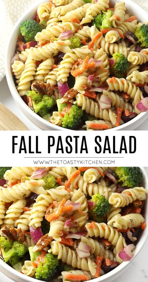 Fall Pasta Salad by The Toasty Kitchen #fall #autumn #pastasalad #partyfood #thanksgiving #halloween #broccoli #carrots #pecans #vegan #sidedish #rotini Salad For Fall Party, Thanksgiving Pasta Salad With Butternut Squash, Pasta Side Salad Recipes, Cold Pasta Salad Recipes Thanksgiving, Broccoli Pasta Salad Cold, Fall Soup And Salad Party Ideas, Side Dishes For Fall Cookout, Salads With Carrots, Thanksgiving Salads Recipes