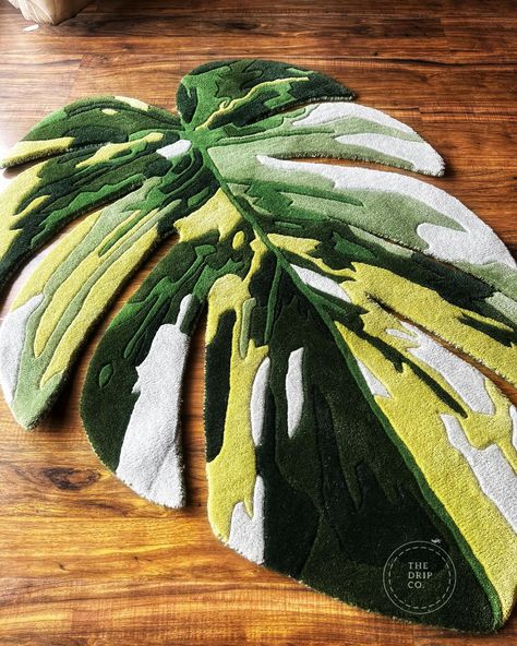 Monstera leaf drawing