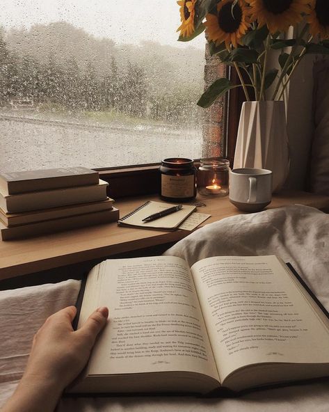 #books #reading #rain #read #fall #cozy #book #coffee #autumn  https://weheartit.com/entry/323292850 Foto Tips, Bookish Things, Cozy Aesthetic, Dark Academia Aesthetic, Academia Aesthetic, Beige Aesthetic, Coffee And Books, Brown Aesthetic, Autumn Aesthetic