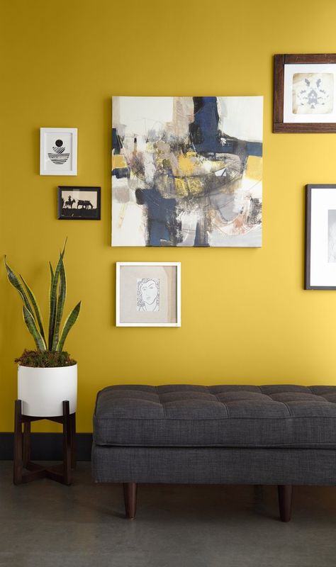 Behr Color Trends, Yellow Accent Walls, Bold Paint Colors, Home Paint Color, Behr Colors, Color Of The Month, Behr Paint Colors, Trending Paint Colors, Behr Paint