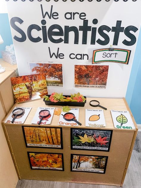 Experiment For Preschool, Science Center Preschool, Sort By Color, Science Area, Fall Science, Preschool Rooms, Preschool Science Activities, Prek Classroom, Dramatic Play Preschool