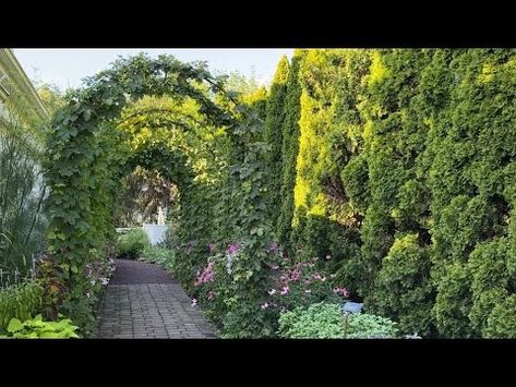 Garden Design Ideas for Narrow Walkways, Skinny Side Yards, & Small Spaces / Local Garden Tour - YouTube Side Yards Ideas, Side Yards Ideas Narrow, Side Yards, Garden Design Ideas, Yard Design, Garden Tours, Side Yard, Walkway, Garden Ideas