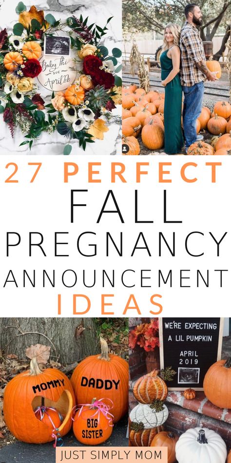 Make your fall pregnancy announcement beautiful to share with friends and family. Get creative ideas and inspiration for your photo announcement here. Fall Pregnancy, Pregnancy Announcement Ideas, Fall Pregnancy Announcement, Creepy Halloween Decorations, Announcement Ideas, Pregnancy Announcements, Fall Maternity, Lifestyle Blogs, Family Planning