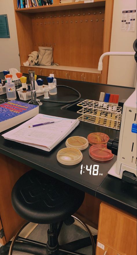 University of Scranton Medical Research Lab Aesthetic, Science Lab Asethic, Clinical Lab Scientist, Med Lab Tech Aesthetic, Medtech Student Aesthetic, Medical Laboratory Scientist Aesthetic, Lab Job Aesthetic, Lab Student Aesthetic, Lab Pictures Science