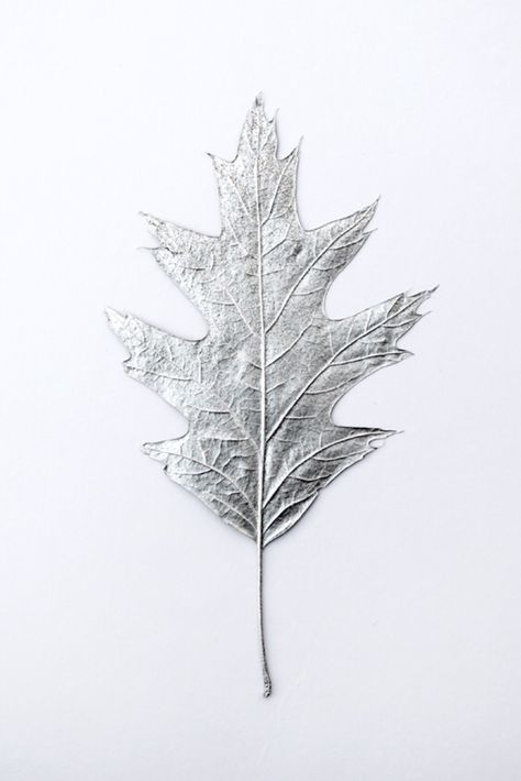 Spray painted leafs// Handmade Craft Ideas, Silver Home Accessories, Mason Jar Crafts Diy, Gray Aesthetic, Silver Paint, Aesthetic Colors, A Craft, Diy Blog, White Aesthetic