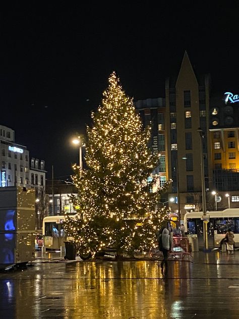 Big Christmas tree with lights Big Christmas Tree Lights, Christmas Tree Outside, Giant Christmas Tree, Christmas Tree With Lights, Big Christmas Tree, Tree With Lights, Aesthetic Lifestyle, December 2024, Big Tree