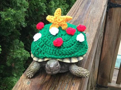 TurtleToppers Tortoise Clothes, So Cute Images, Turtle Clothes, Christmas Tree Outfit, Turtle Sweaters, Cute Tortoise, Baby Tortoise, Pet Turtle, Tortoise Turtle