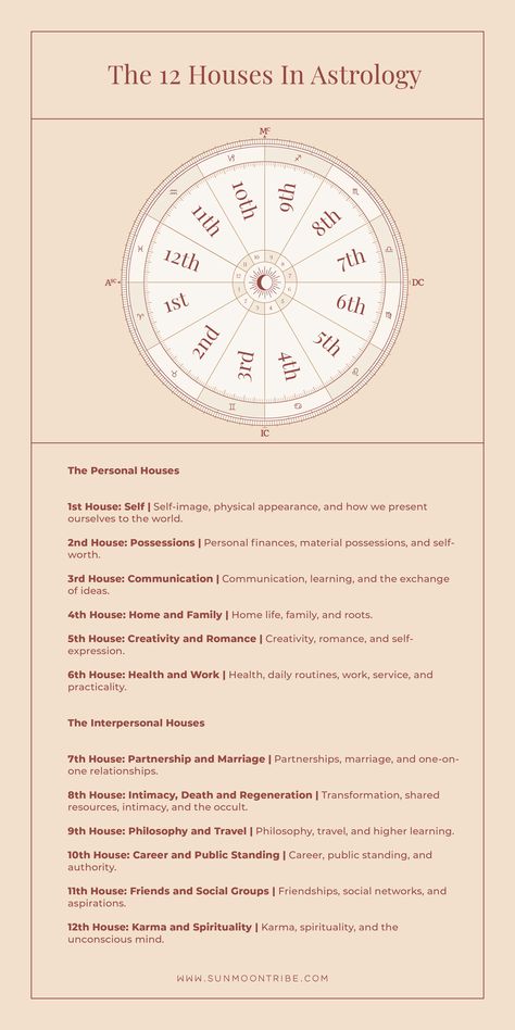 Astrology wheel depicting the placement of the 12 houses Astrology Cheat Sheet, Houses In Astrology, Sidereal Astrology, Zodiac Houses, Astrology Houses, Astrology Meaning, Jyotish Astrology, Traditional Witchcraft, Sacred Science