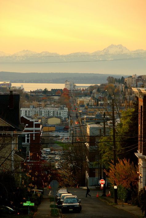 Seattle Pacific Northwest Small Town Aesthetic, Washington State City, Pacific Northwest Town, Pacific North West Aesthetic, Seattle Aesthetic Summer, Seattle Core, Pacific Northwest Gothic, Seattle Mountains, Pacific Northwest House